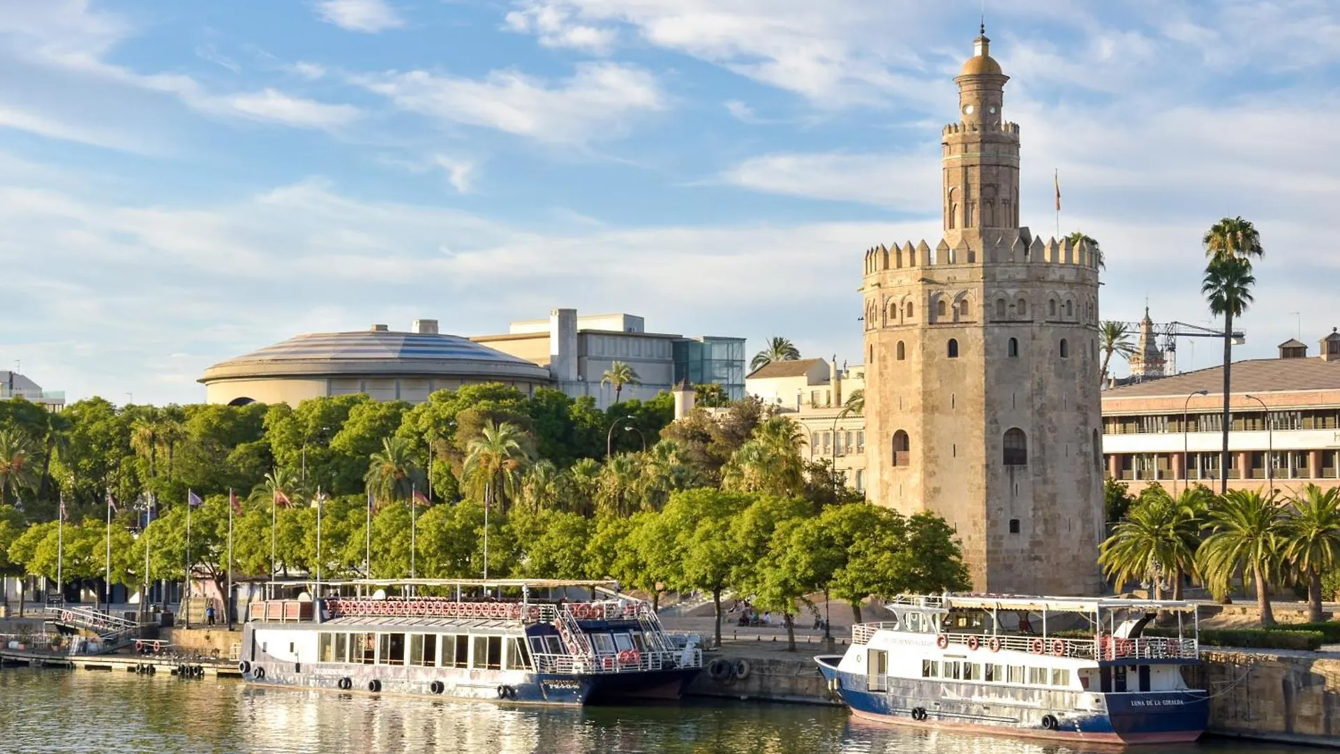 Large Functional Apartment! Seville